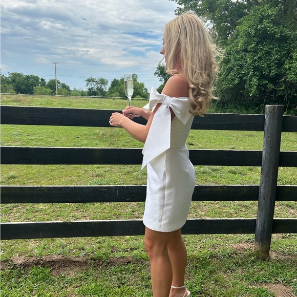 Alexia Maria Isabella Silk Wool Blend Mini Dress- Size 2 - Picture 3 of 3